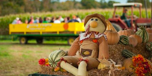 Kyker Farms Corn Maze