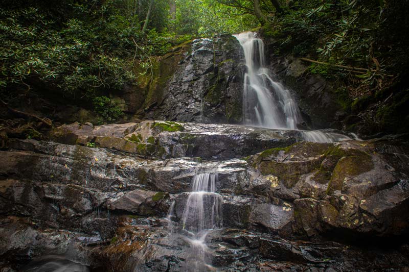 Laurel Falls Trail