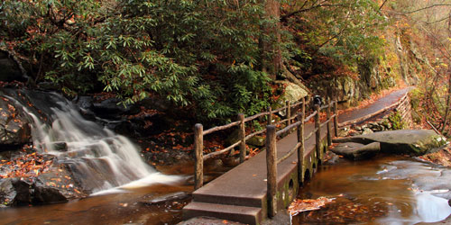 Laurel Falls Trail: Click to visit page.