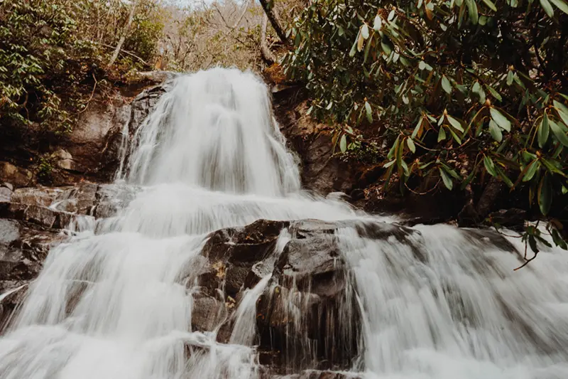 Laurel Falls Trail