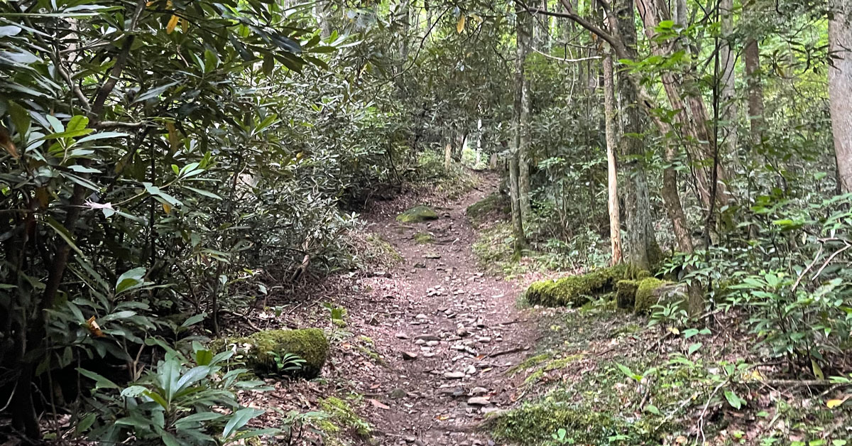 Lead Cove Trail Lead Cove Trail