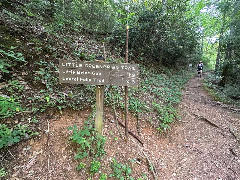 Little Greenbrier Trail