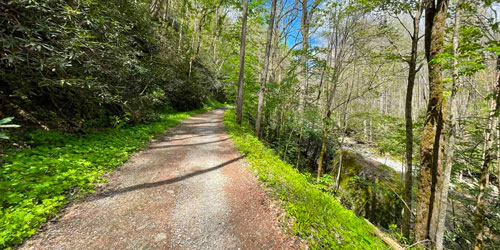 Little River Trail: Click to visit page.