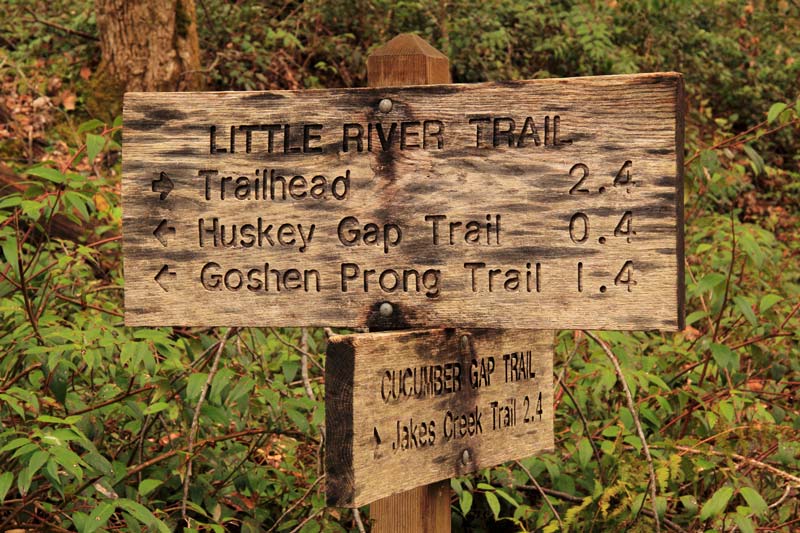 Little River Trail