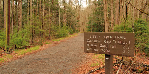 Little River trail is one of the easiest short hikes in the Smokies