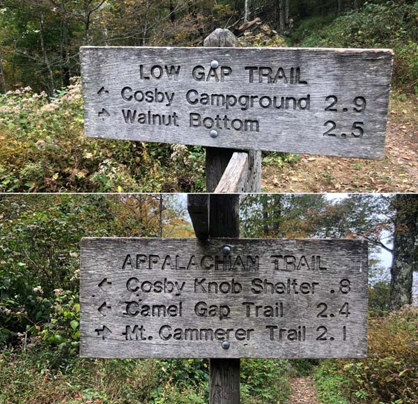 Mt. Cammerer Trail via Low Gap + AT