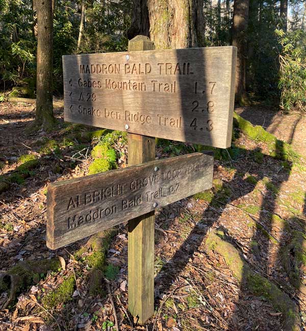Albright Grove Loop Trail