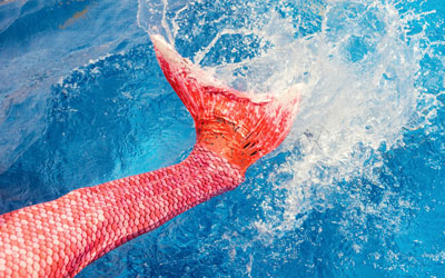 Breakfast With A Mermaid: Click for details.