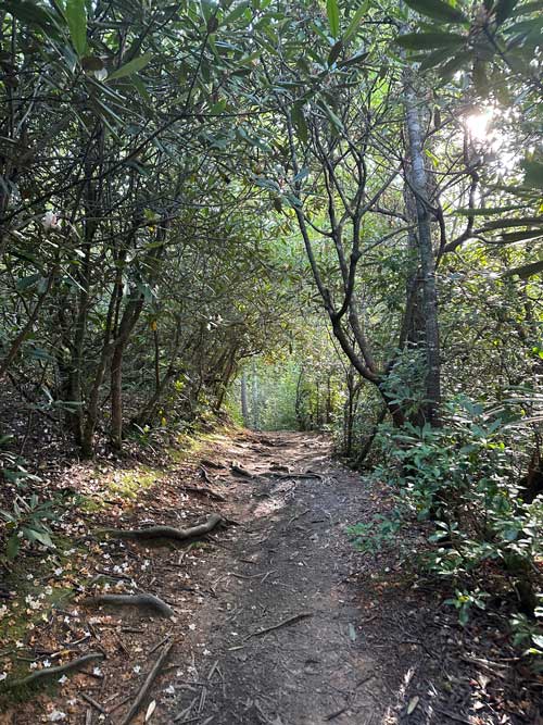 Metcalf Bottoms Trail
