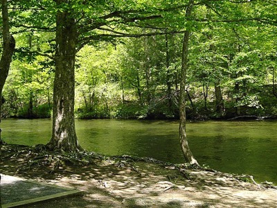 View of Metcalf Bottoms Picnic Area