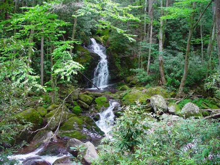 Big Creek Trail (Mouse Creek Falls, Midnight Hole)