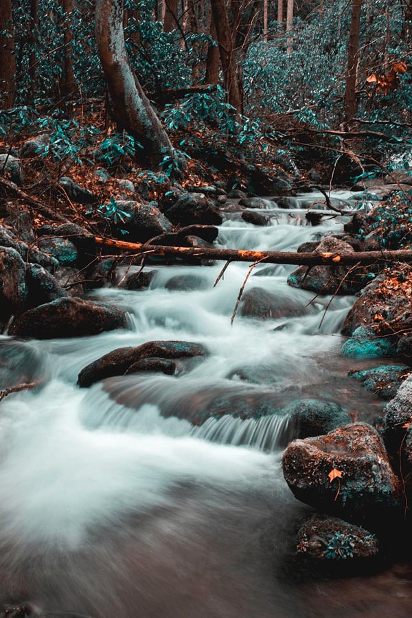Big Creek Trail (Mouse Creek Falls, Midnight Hole)
