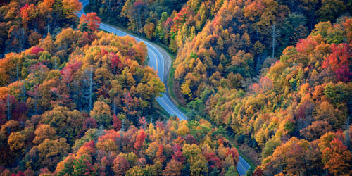 Scenic Drives Through The Smokies: Click to visit page.