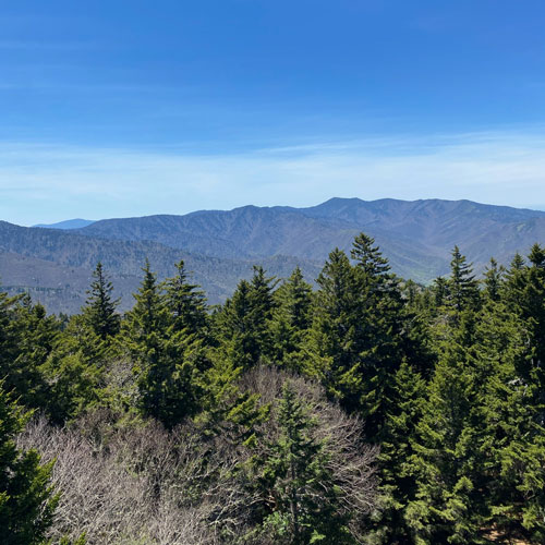 Northwest view of Mounts LeConte & Guyot Northwest view of Mounts LeConte & Guyot