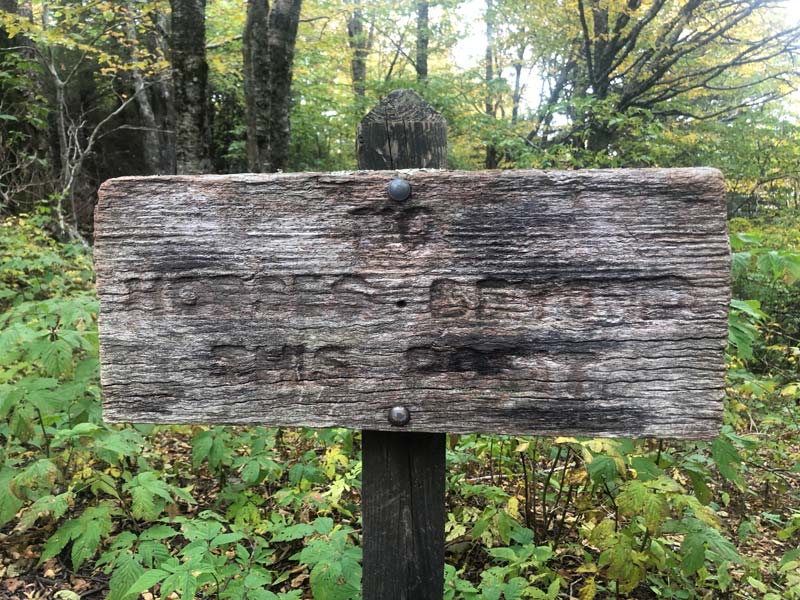 Very old sign toward the end of Mt Cammerer Trail - Mt. Cammerer Trail via Low Gap + AT
