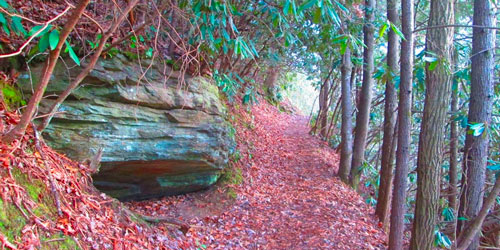 Old Settlers Trail: Click to visit page.
