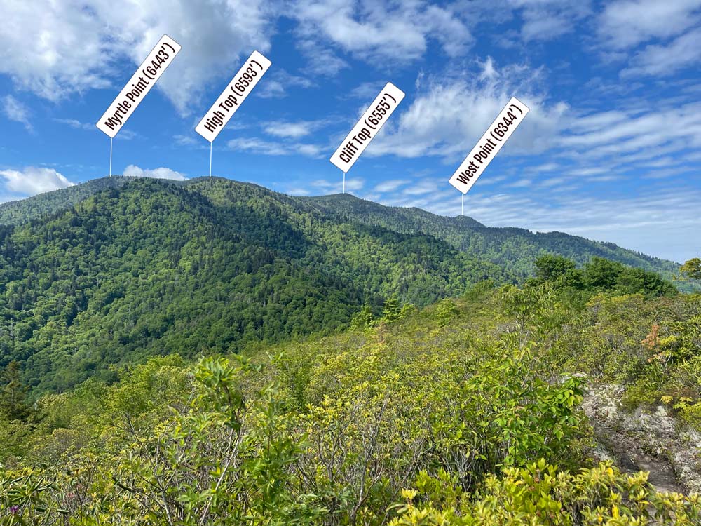 Mt. LeConte's peaks seen from Brushy Mountain Brushy Mountain Trail (Mt. LeConte)