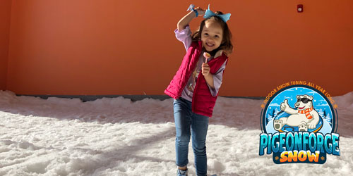 Pigeon Forge Snow: Click to visit page.