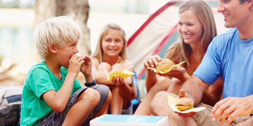 Picnic Spots In The Smokies: Click to visit page.