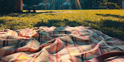 Picnic Areas in the Smoky Mountains: Click to visit page.