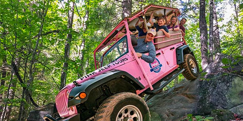 Pink Jeep Tours: Click to visit page.