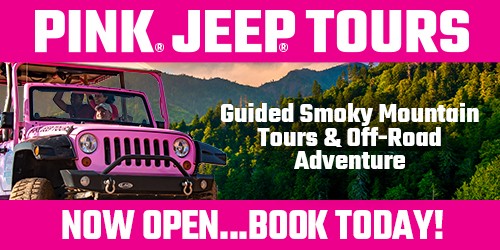 Learn More About Pink Jeep Tours: Click to visit page.