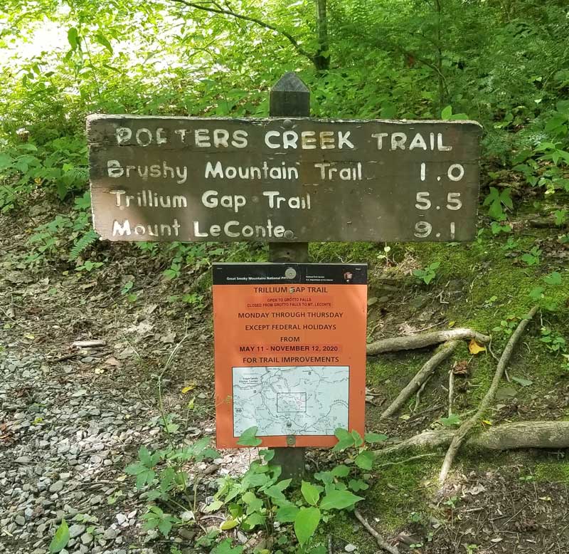 Porters Creek Trail (Fern Branch Falls)