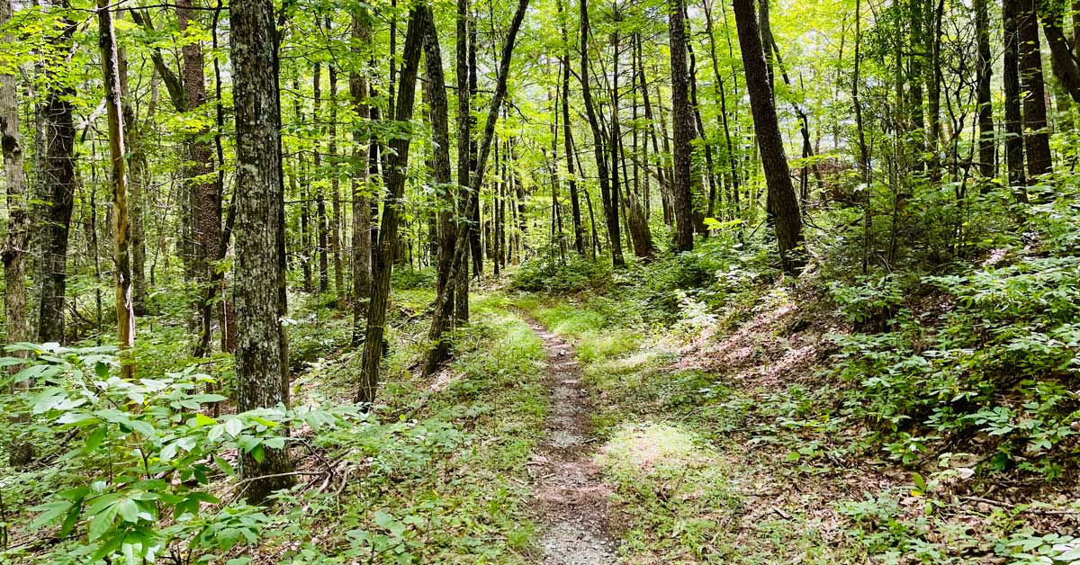 Rabbit Creek Trail Rabbit Creek Trail