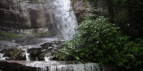 Hike To Rainbow Falls: Click to visit page.