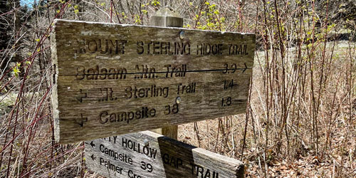 Mt. Sterling Ridge Trail: Click to visit page.