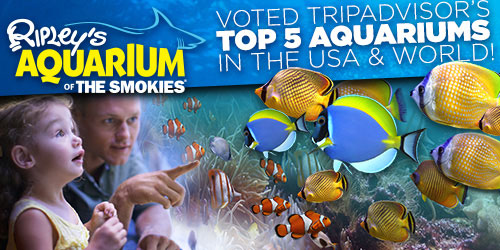 Ripley's Aquarium in Gatlinburg: Click to visit page.