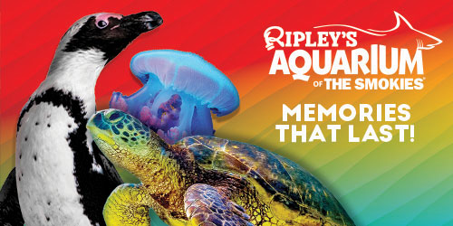 Ripley's Aquarium of the Smokies: Click to visit website. Ripley's Aquarium of the Smokies