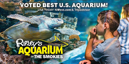 Ripley's Aquarium of the Smokies: Click to visit website.