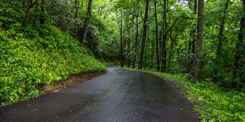 Roaring Fork Motor Nature Trail: Click to visit page.