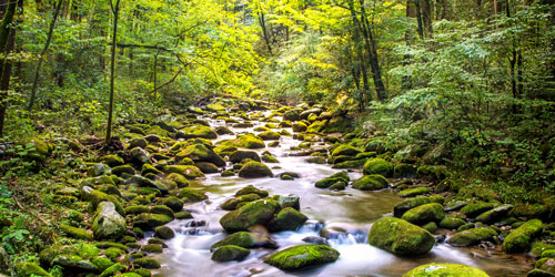 Scenic Routes Through The Smokies: Click to visit page.