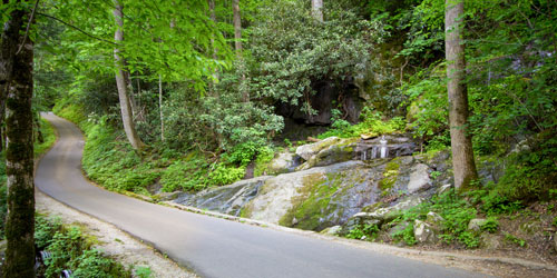 Roaring Fork Motor Nature Trail Roaring Fork Motor Nature Trail