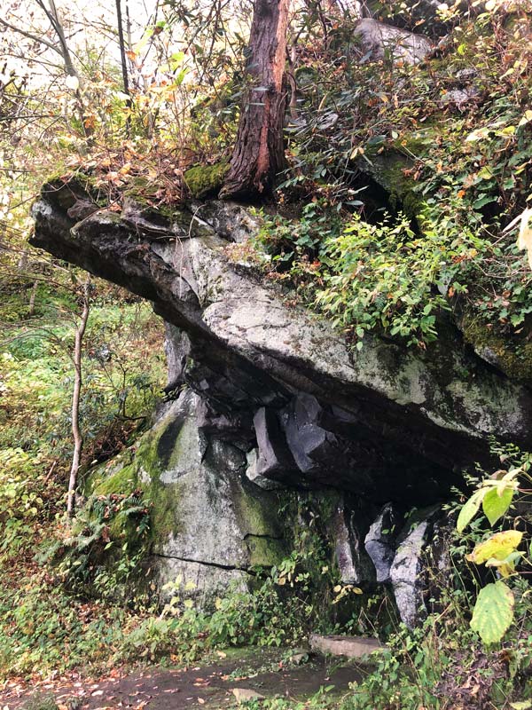 Bullhead Trail (Mt. LeConte)