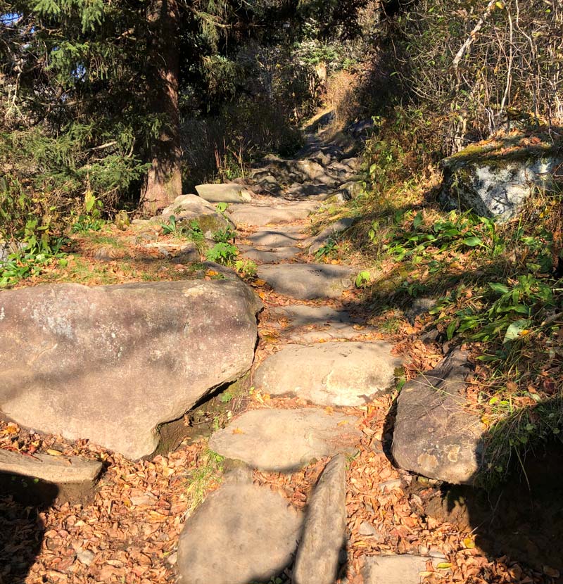 These rocks are much harder to go up on the way back! Andrews Bald via Forney Ridge Trail