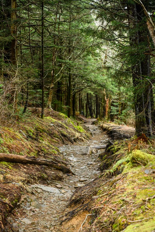 Forney Ridge Trail