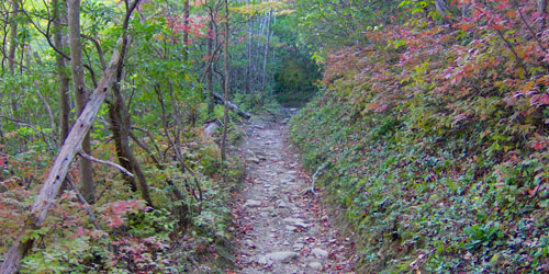 Spence/Russell Field Loop: Click to visit page.