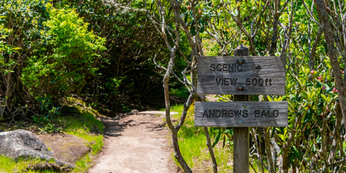 Gaps, Balds, Bunions & Knobs: Scenic Views: Click to visit page.
