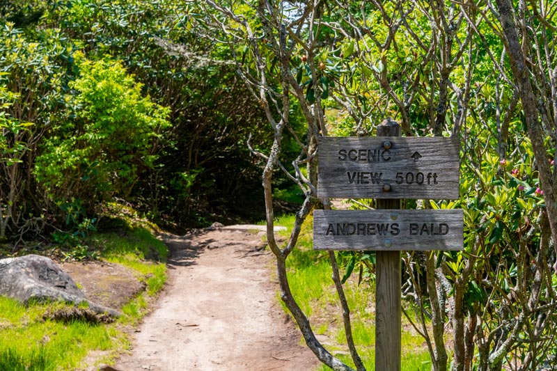 Forney Ridge Trail