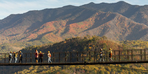 Fall at the Gatlinburg SkyBridge Fall at the Gatlinburg SkyBridge