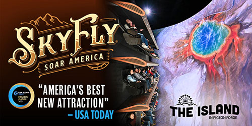 SkyFly: Soar America: Click to visit website.