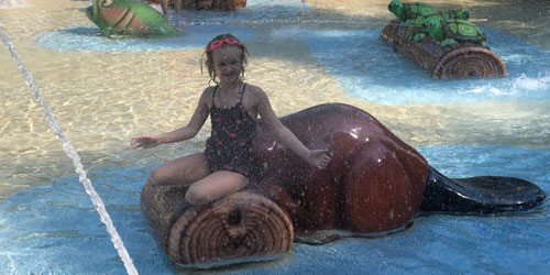 Dollywood's Splash Country: Click to visit page.