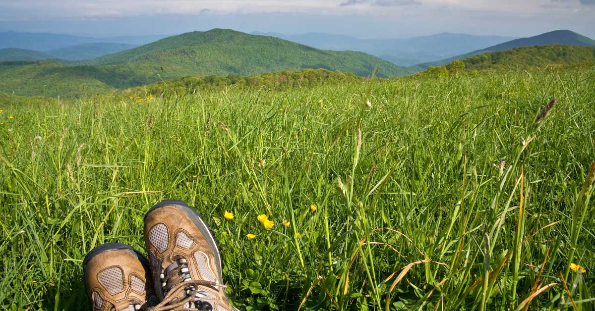 The Best Spring Hikes In The Smoky Mountains Wildflowers & Waterfalls