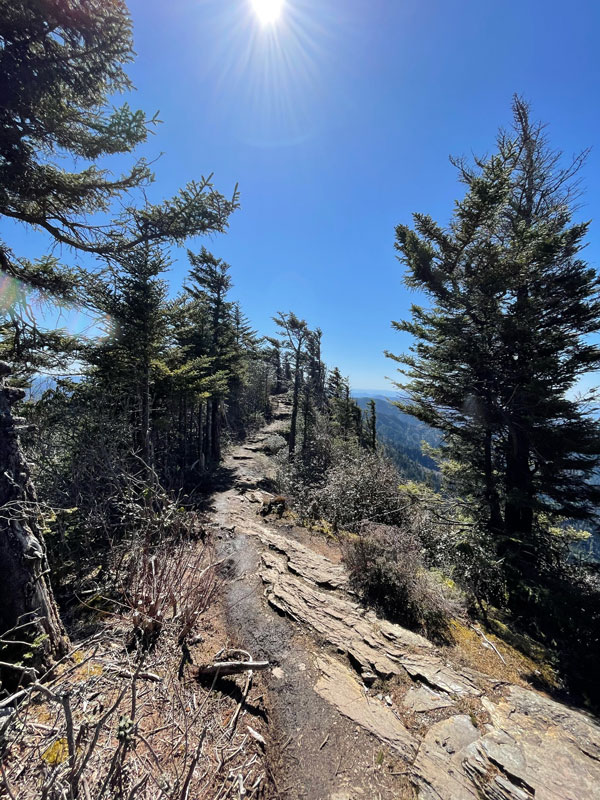 Almost to Myrtle Point on the spur trail Boulevard Trail (Mt. LeConte)