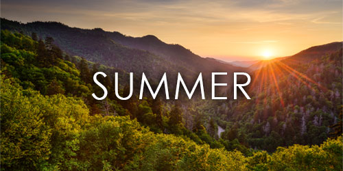 summer planning guide