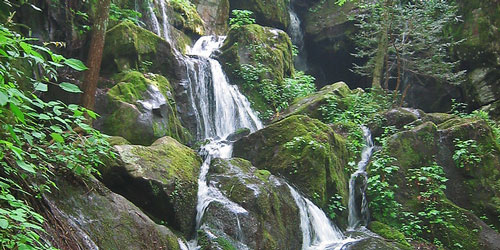 Roaring Fork Motor Nature Trail: Click to visit page.