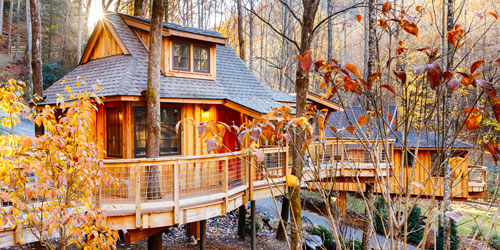 Treehouse Grove: Click to visit page.